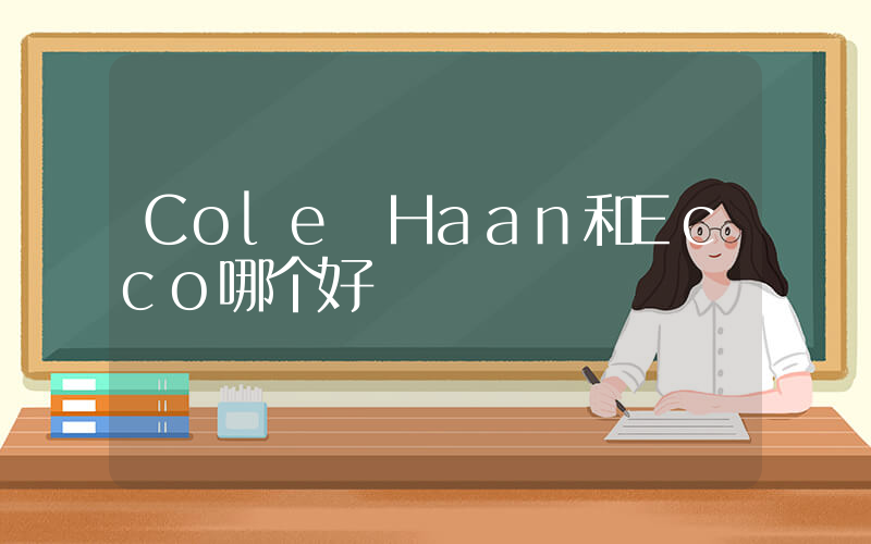 Cole Haan和Ecco哪个好插图